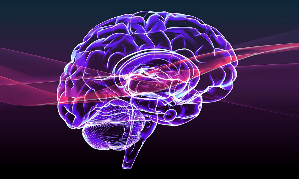 The Neuroscience of Gambling: What UK Researchers Know in 2026